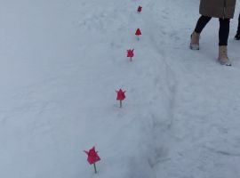 IMG-20230214-WA0011