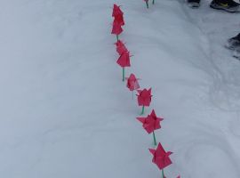 IMG-20230214-WA0019