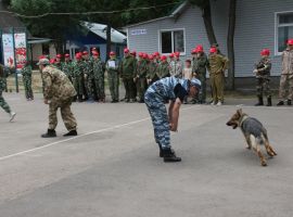 IMG 0625