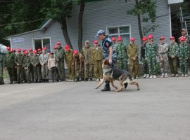 IMG 0631