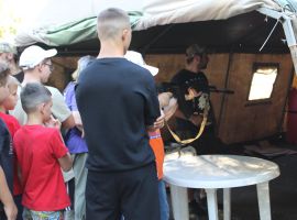 IMG 4648