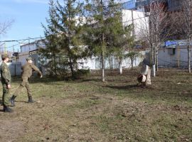 q9GnSg4l2kg